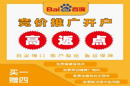 行业领先企业的sem竞价策略：成功案例剖析